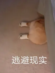 BTS：我与金泰亨互换身体？