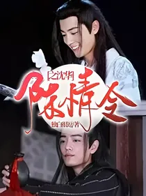 陈情令之沈华