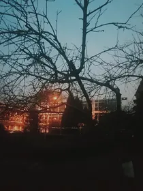 世上的真实