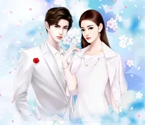 莫少宠妻无度