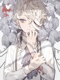 花神之灵：光影之争