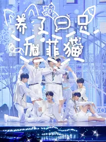 TNT：养了一只加菲猫