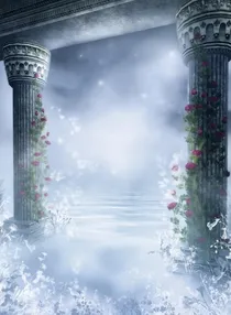 魔王追妻被坑的那些年