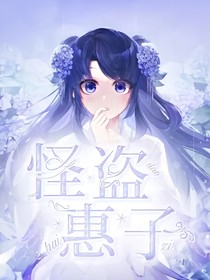 怪盗惠子