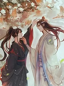 陈情令之这一生我愿和你在一起
