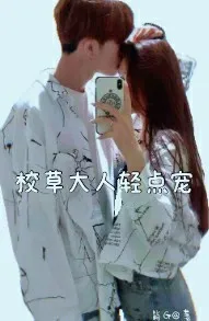 校草大人轻点宠啊