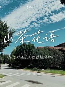 山茶花语
