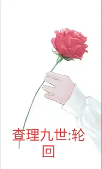 查理九世：轮回-d241