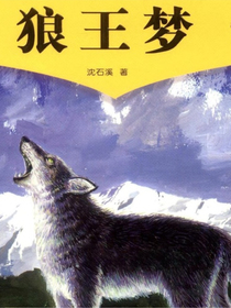 狼王梦经典版