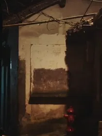 进化方向