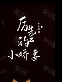 厉先生的小娇妻