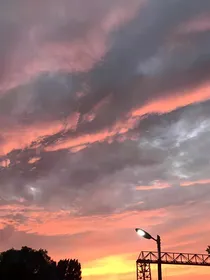 一场由梦而开始的爱情