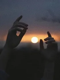 迟暮归林……