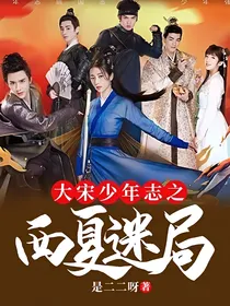 大宋少年志之西夏迷局