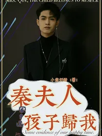 秦夫人，孩子归我