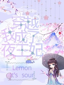 穿越之我成了夜王妃