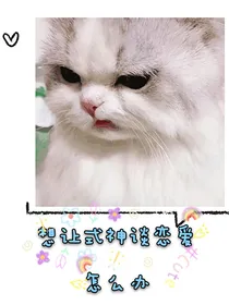 想让式神谈恋爱怎么办
