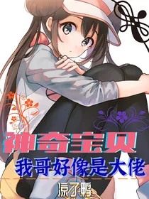 神奇宝贝：我哥好像是大佬