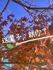 这辈子，就你了