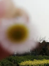 爱你这件事只有我自己知道