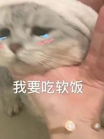 直播捉鬼日常