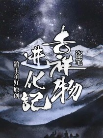 盗笔：吉祥物进化记