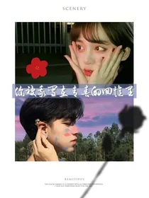 你被我写在青春回忆里