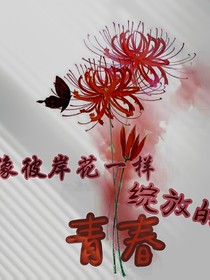 像彼岸花一样绽放的青春