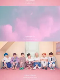 BTS：哥哥们太沙雕怎么办？