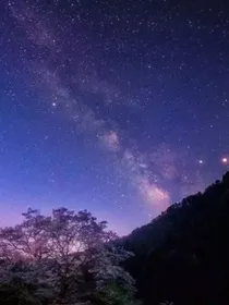 喜羊羊之背叛的友情