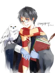 HP温婉如水