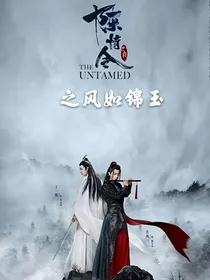 陈情令：风如锦玉