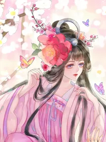 穿越之神医二小姐