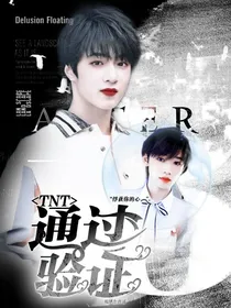 TNT：通过验证