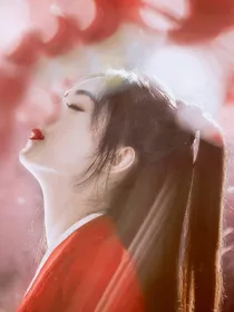 樱花幽梦der小曲库