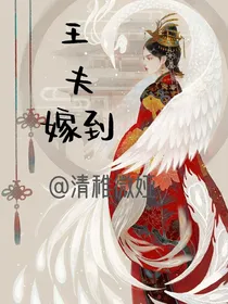 王夫嫁到