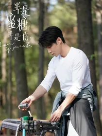半是蜜糖半是伤之守护