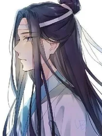 蓝湛的独白