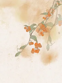综影视：红尘