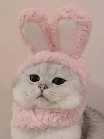 头像ooo