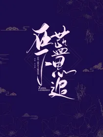在下蓝思追