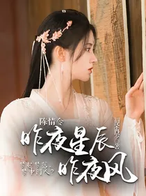 陈情令：昨夜星辰昨夜风
