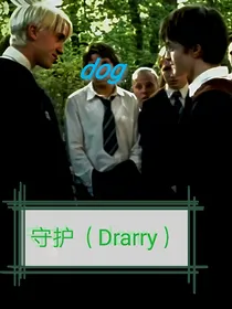 Hp守护（drarry）