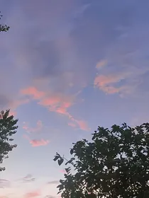 德云社：人走茶凉