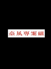 台风专案组