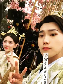 王牌对王牌（双世宠妃版）