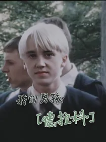 我的男孩——德拉科