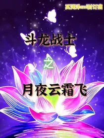 斗龙战士之月夜云霜飞