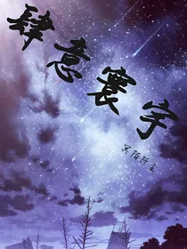 肆意寰宇略略略