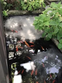 郁三爷，你失宠了！